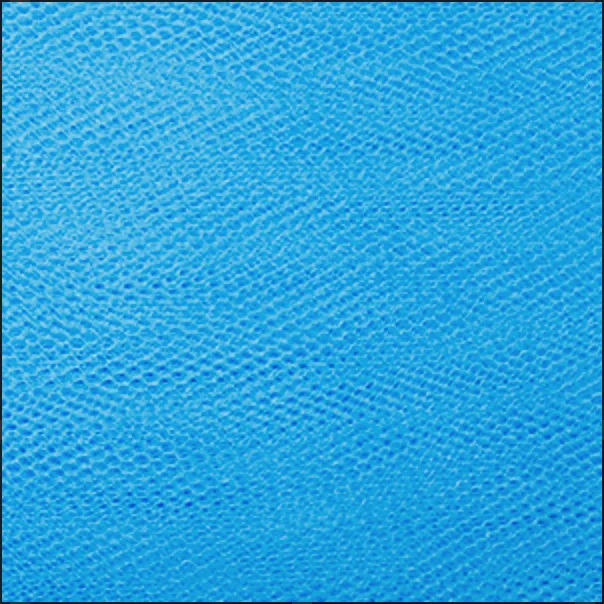 Flo Blue