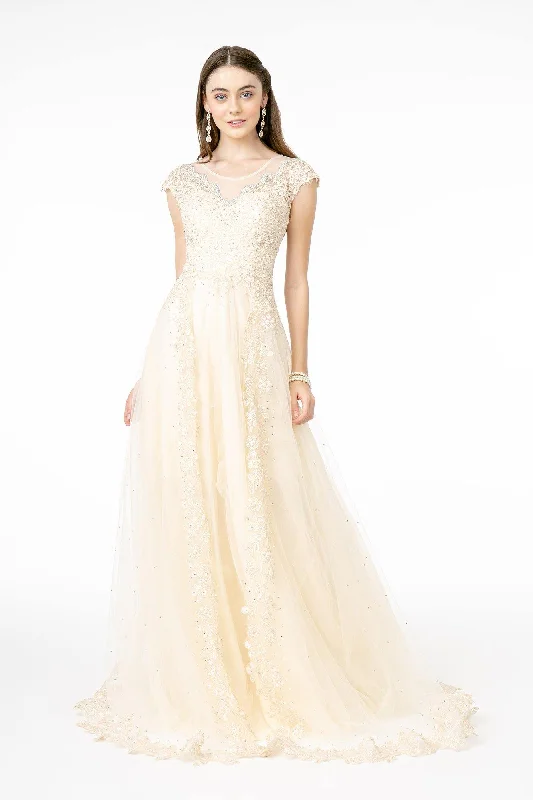 Embroidered Mesh A-Line Long Dress with Sheer Back Square Neckline Feminine